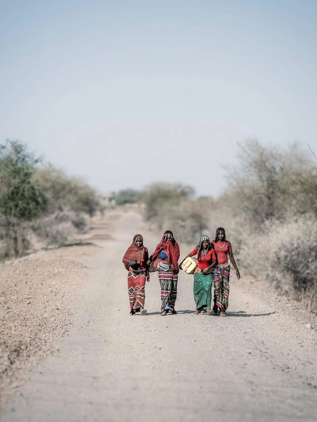 Build the future of Afar tourism together