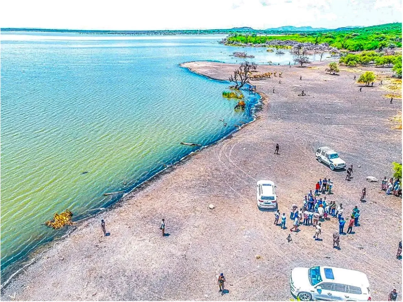 A lakeside gathering pictured in the supplied Lake Leado collection