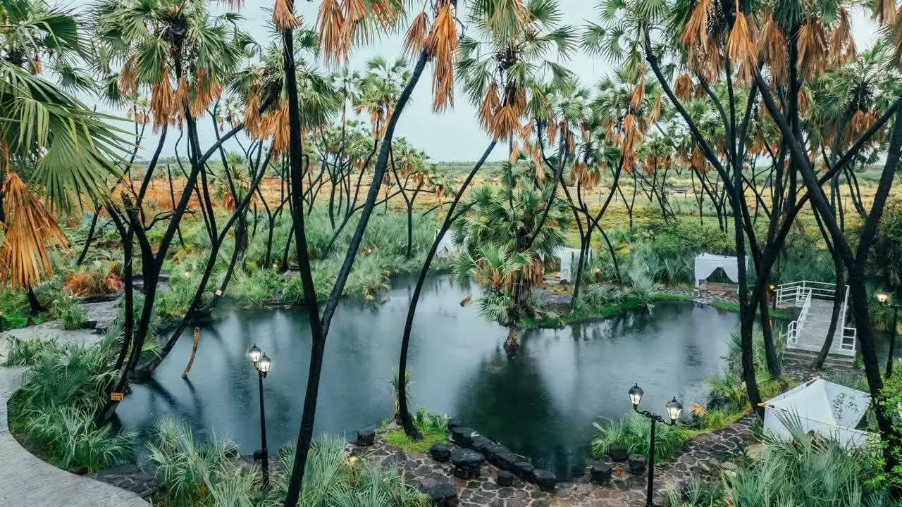 Niin Lee Palm Lodge in the Awash National Park destination area